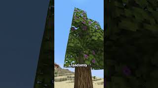 Azalea trees are actually useful