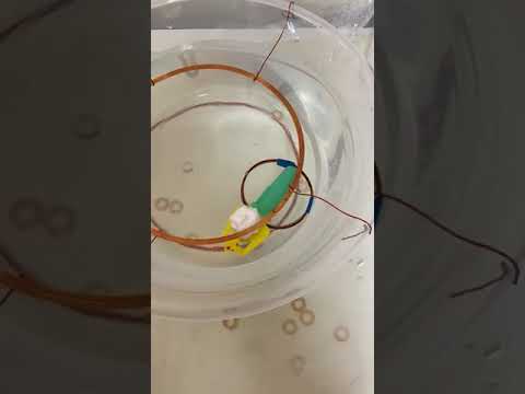 Swimming robot with Wifi power transfer (Kablosuz enerji transferi ile yüzebilen robot)