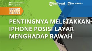 Ini Pentingnya Meletakkan iPhone dengan Posisi Layar Menghadap ke Bawah, Mengapa?