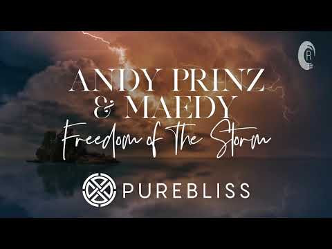 SUNDAY CHILL PICK: Andy Prinz & Maedy - Freedom Of The Storm [Adrian & Raz] + LYRICS