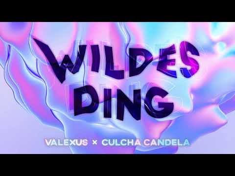 VALEXUS x Culcha Candela - Wildes Ding [Official Remix]