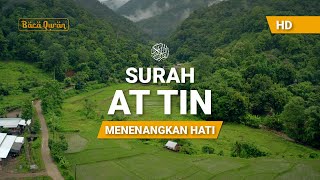 Download lagu Surah At Tin Merdu - Muhammad Muqtadir mp3