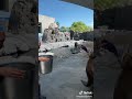 Sea lions screaming tiktok