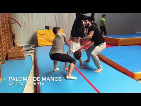 AYUDAS IAGA / MARCO ANTONIO REBOLLO SÁNCHEZ のサムネイル