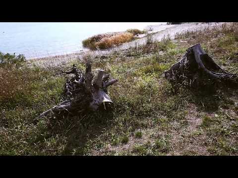 An autumn day at the lake Partwitz - DJI Osmo Pocket