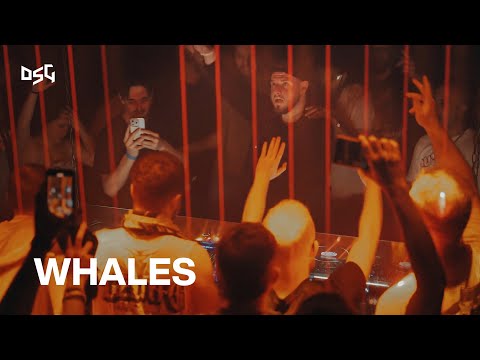 WHALES LIVE 360 SET: MAKE DUBSTEP ABOUT PARTYING AGAIN