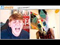 I Got ATTACKED By FURRY S On Omegle