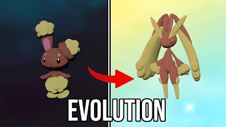 Buneary | Lopunny | Evolution in Pokemon Legends: Arceus | PLA