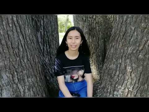 Introducing AIESEC in Auckland City EB 2020