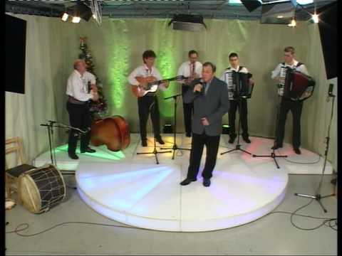 Milan Vasiljević - Nisam te se nagledao