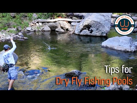 Dry Fly Fishing Freestone Pools
