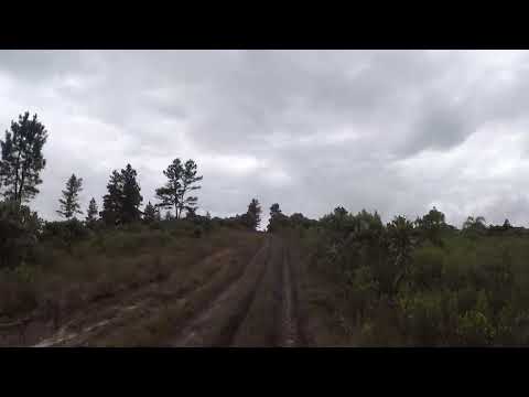 Trilha do boi preto rio dos cedros