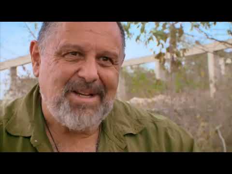 Tarihe Yakından Bakış Maya Piramidi 2 Bölüm