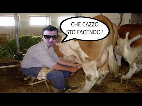 VIETATO MUNGERE I TORI - Come scalare il bronzo trollando #18 w/GamerMaurizio