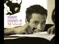 Hannah - Robert Downey Jr.