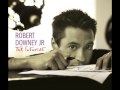 Robert Downey Jr. - Hannah 