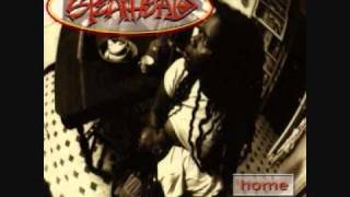 4   Spearhead   Positive