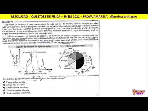 ENEM 2021 - FÍSICA - QUESTÃO 115 - PROVA AMARELA