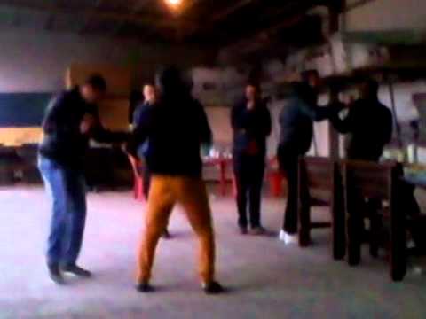 Ciocârlia din Nanov