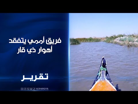 فيديو | فريق أممي يتفقد أهوار ذي قار..متابعة معاناة السكان المحليين لإيجاد حلول بيئية بمواجهة الجفاف