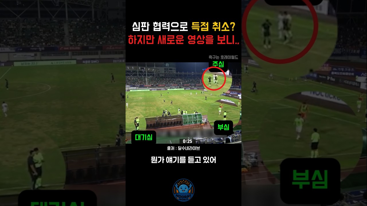 심판협력으로 골 취소? 공개된 영상을 보니... #축구 #k리그 #오심 #수원삼성 #수원