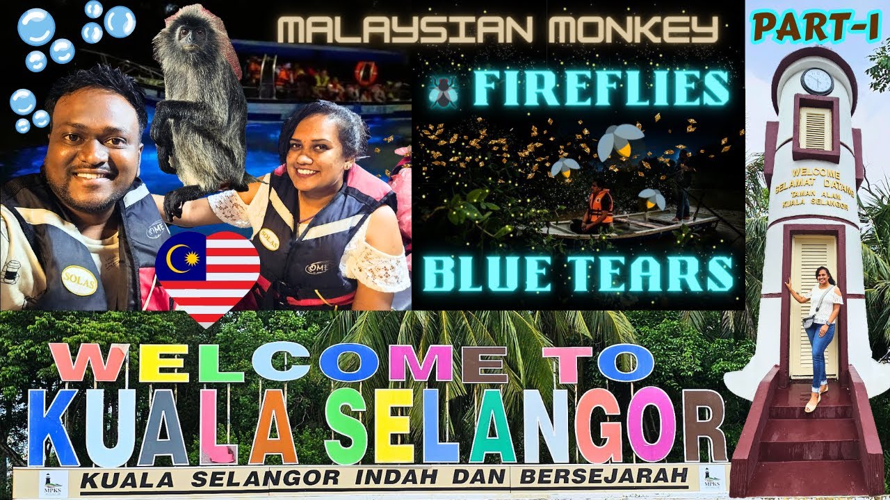 Kuala Selangor | Fireflies | Blue Tears | Malaysian Monkey | Sky Mirror #malaysia  🇲🇾 Kannada Vlogs