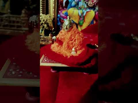 Devotees asked questions to Laddus?? Jai Shri Krishna 🙏🏻 Good morning🙏🏻#radhekrishna #trending #viral #video