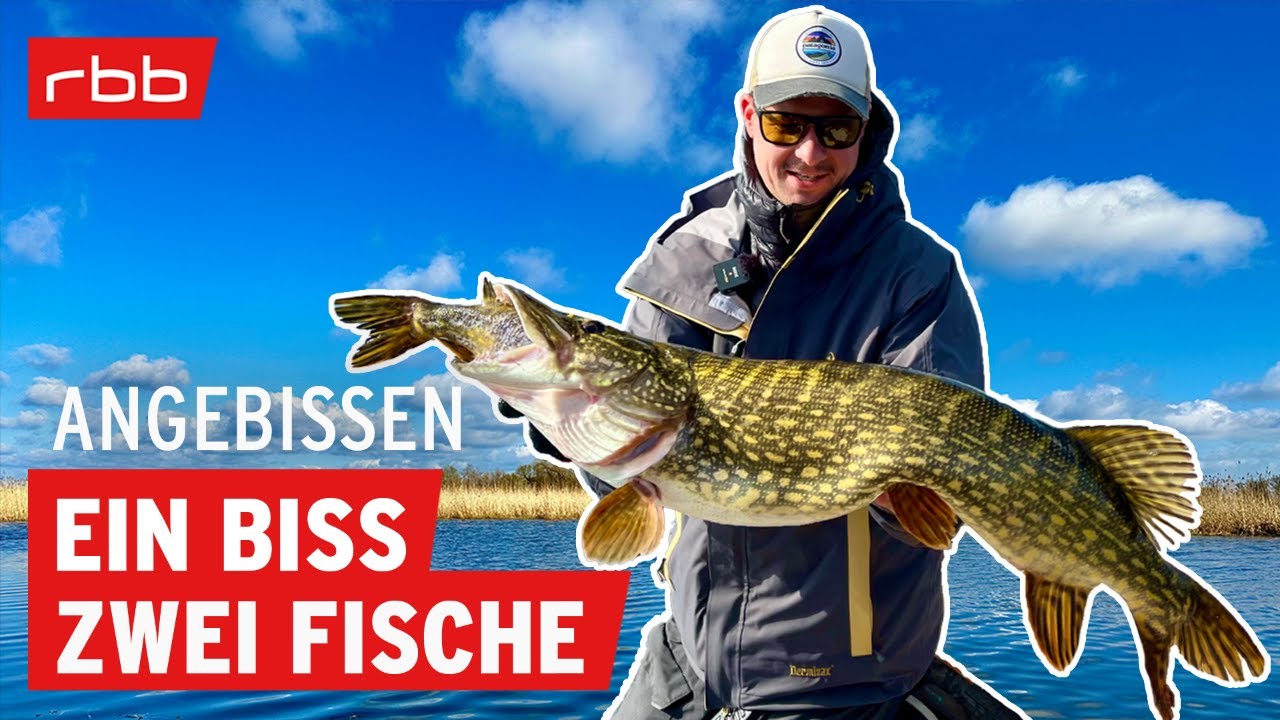 So startet Ihr erfolgreich in die Hecht-Saison | Angebissen #196 | Angelpodcast