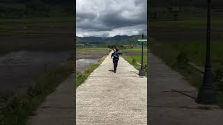 Download lagu welcome to geblek pari nanggulan #kulonprogo #nanggulan #geblekpari #greennature #village mp3