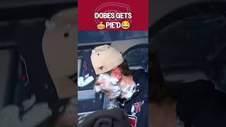 Pie to the Face for Dobes ????????
