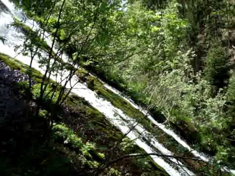 Cascada Pişoiul-izvor, Bistra Mureşului.MPG