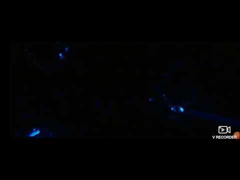 War Dogs-Chinese Ammo