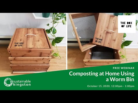 Composting at Home Using a Worm Bin