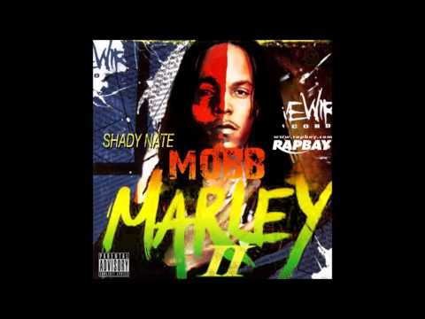 Shady Nate   Turnt Up Feat  Fe The Don