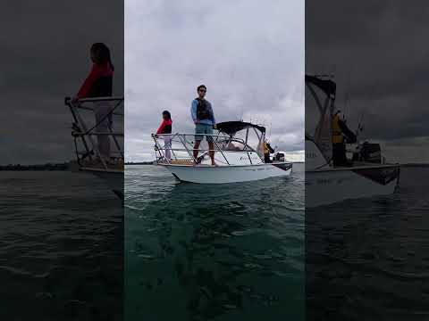On the Water Stories: Featuring FishoDavo