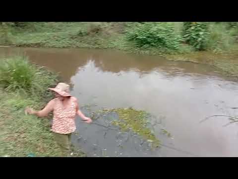 Lugar de várias cachoeiras. Estado RJ cidade Pádua divisa de Miracema