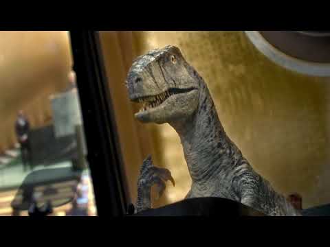 30 TV PSA   Don't Choose Extinction