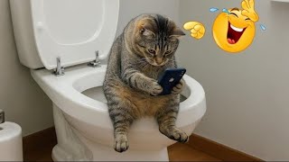 Funniest Animals 2025 🐾 | Cute & Funny Pets Compilation That Will Make You Laugh!