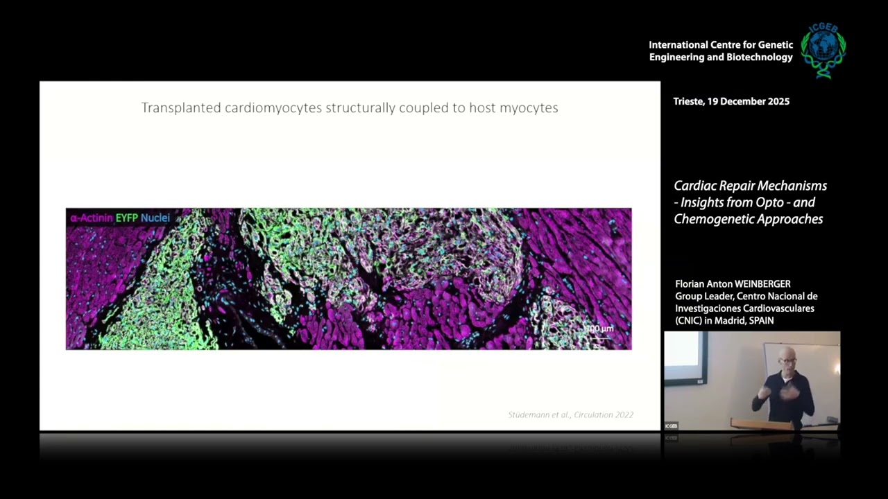 A. F.  Weinberger - Cardiac Repair Mechanisms- Insights from Opto - and Chemogenetic Approaches