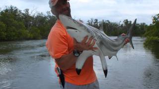 Everglades Fishing Trip 2012