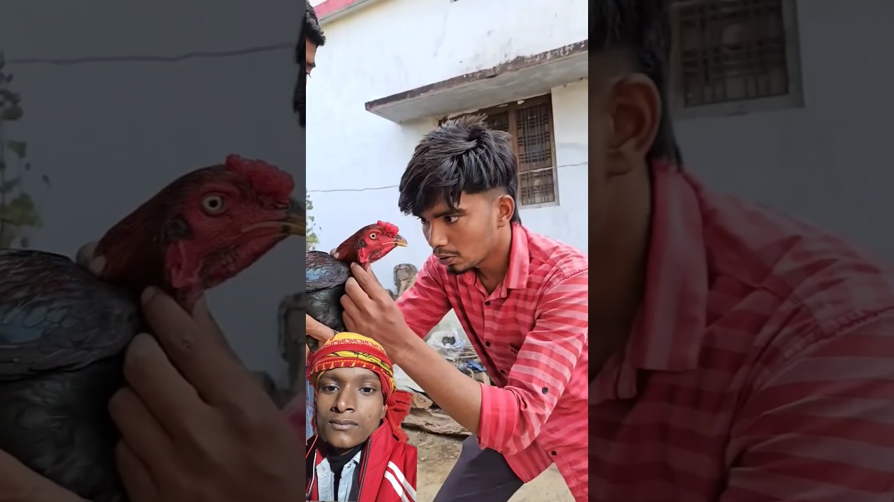 Laughing in the Gaon: New Year Murga Comedy Special