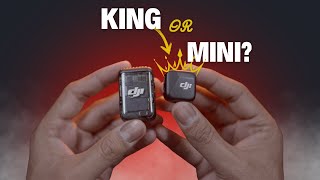 5 Reasons You'll REGRET Not Using DJI Mic Mini for Your Content