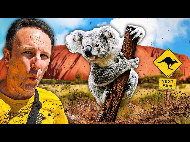 Travel vlog - AUSTRALIA TRAVEL GUIDE: 15 Things to Know Before You Go