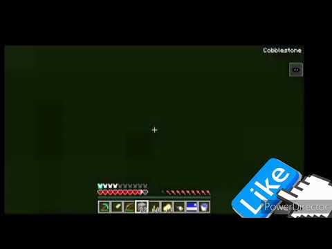 LYON TAGLIA MALE, VIDEO SCP