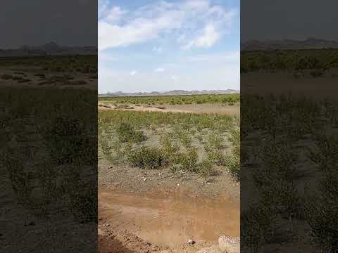 Beautiful beach view #shortvideosubscribe