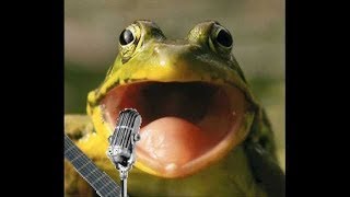 Lyric Lingua Presa