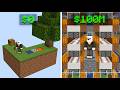 I Became A Millionaire From Only A Skyblock Island