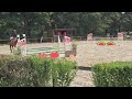 SELLE FRANCAIS  9 ANS   CSO AMAT ET LOISIR