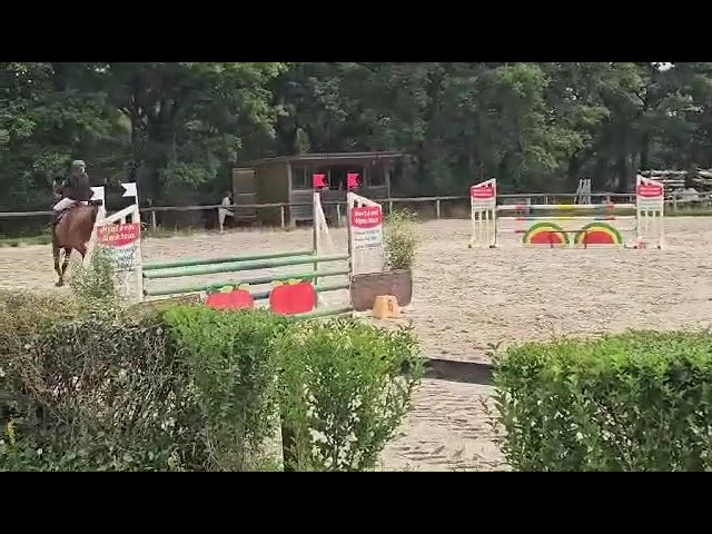 SELLE FRANCAIS  9 ANS   CSO AMAT ET LOISIR