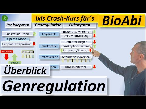 Overview of gene regulation in prokaryotes and eukaryotes